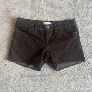 Carve Designs - Oahu Shorts